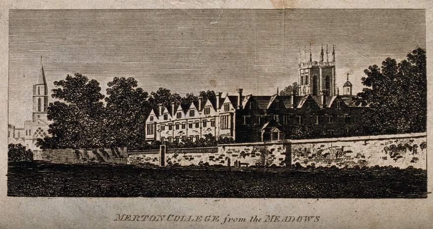 Merton College, Oxford: from the meadows. Line engraving.