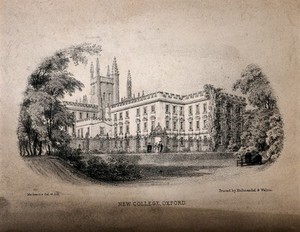 view New College, Oxford: panoramic view. Lithograph by Mackenzie after himself.