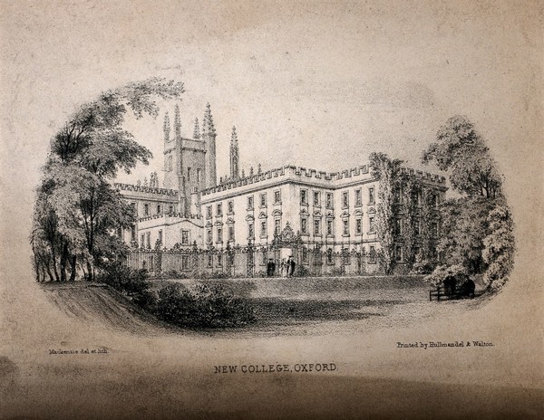 New College, Oxford: panoramic view. Lithograph by Mackenzie after himself.