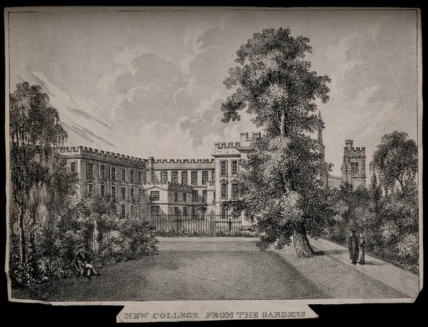 New College, Oxford: from the gardens. Lithograph.