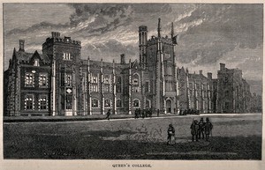 view Queen's College, Oxford: panoramic view. Wood engraving.