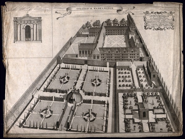 Wadham College, Oxford: aerial panoramic view. Etching by W.H. Toms after W. Williams.