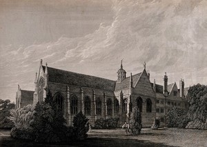 view Wadham College, Oxford: from the garden. Line engraving by J. Skelton after C. Wild.