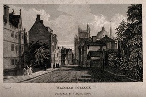 view Wadham College, Oxford: panoramic view showing the Radcliffe Camera and St. Mary's Church in the background. Line engraving.