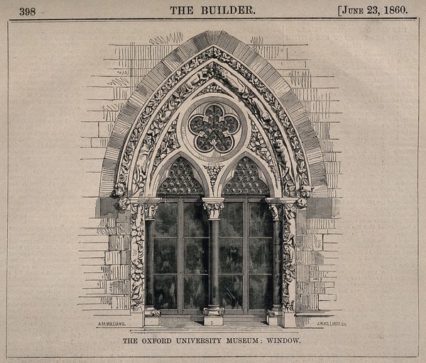University Museum, Oxford: detail of the window. Wood engraving by J.M. Williams, 1860, after A.M. Williams.