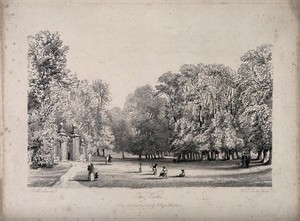 view The Walks, Oxford. Etching by W.B. Cooke, 1838, after J.M. Ince.