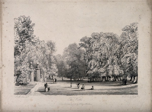 The Walks, Oxford. Etching by W.B. Cooke, 1838, after J.M. Ince.