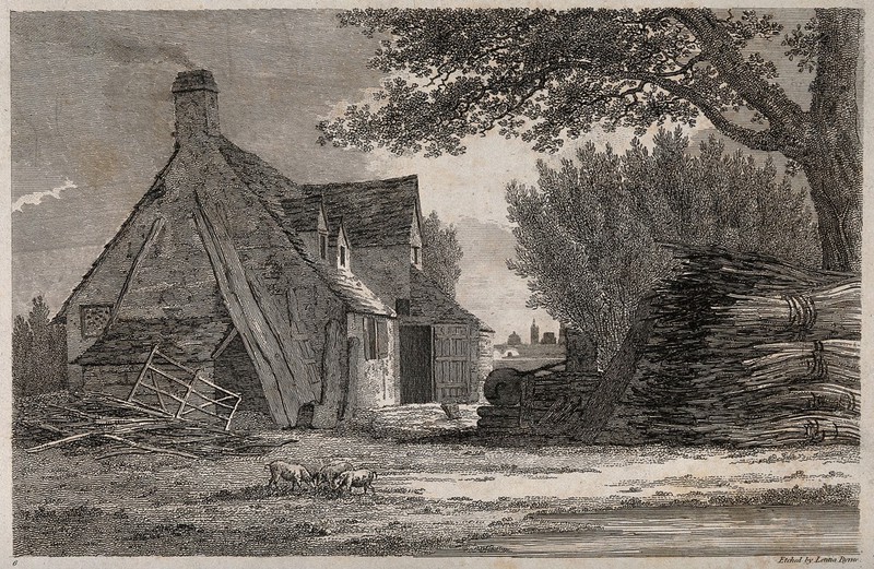 Oxford: distant view of the city from a farmhouse. Etching by Letitia Byrne., by Letitia Byrne
