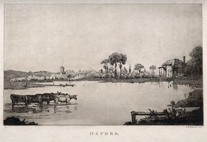 view Oxford: the river with a glimpse of the city behind. Etching by S.W. Reynolds.