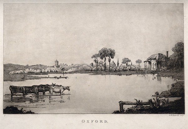 Oxford: the river with a glimpse of the city behind. Etching by S.W. Reynolds.