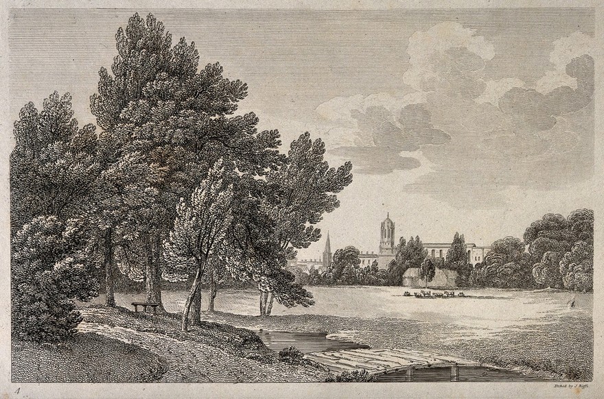 City of Oxford: a glimpse of the city from the meadows. Etching by J. Roffe.