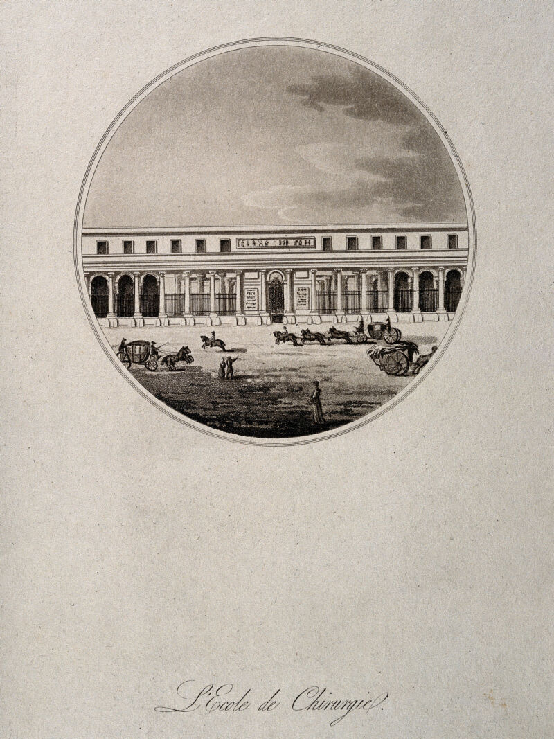 School of Surgery,