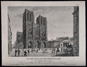 view Église Métropolitaine and the Hôtel Dieu, Paris: panoramic view. Etching.