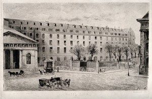view The Hospital Dieu, Paris: view of the portico. Etching.
