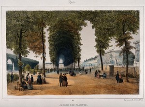 view Jardin des Plantes, Paris: figures strolling the grounds alongside the glasshouses. Coloured lithograph by J. Jacottet.