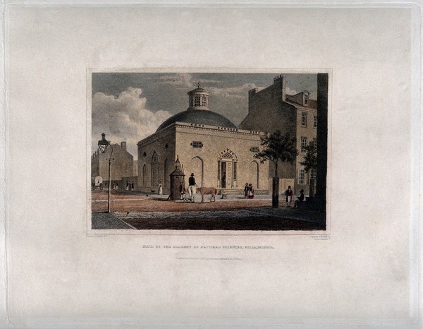 Academy of Natural Sciences, Philadelphia. Coloured engraving by Fenner Sears & Co., 1830, after C. Burton.
