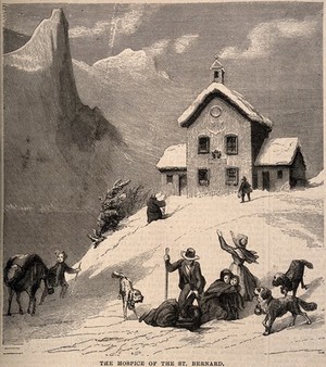 view Convent of Great St. Bernard, Switzerland/Italy: rescue dogs gathering outside around wounded travellers. Wood engraving.