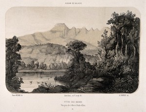 view Sálazie, Réunion Islands: the mountains and moorhen pond. Tinted lithograph by C. Merme, 1831, after A. Roussin.