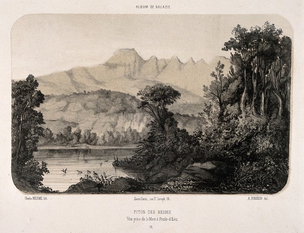 Sálazie, Réunion Islands: the mountains and moorhen pond. Tinted lithograph by C. Merme, 1831, after A. Roussin.