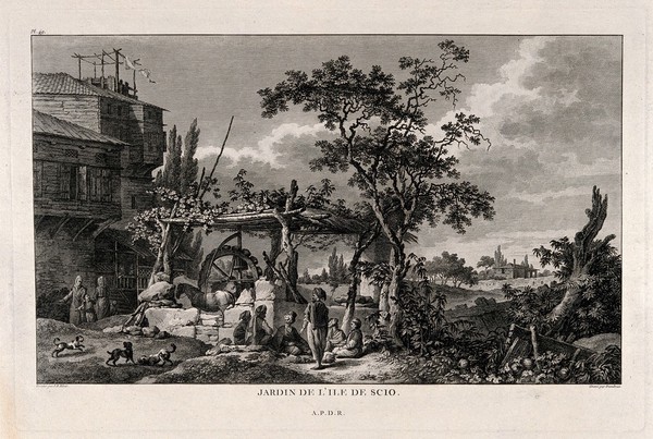 Island of Chios (Scio, Khio): a well in a garden. Etching by J. Dambrun after J.B. Hilair.