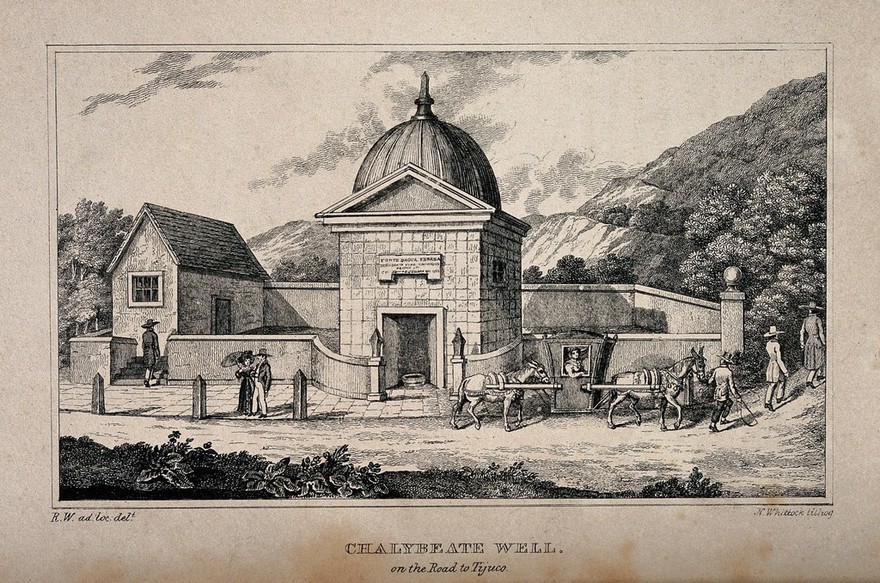 A chalybeate well, Tijuca, Brazil. Lithograph by N. Whittock, 1830, after R. Walsh.