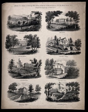 Culverden Estate, Tunbridge Wells, Kent: eight sketches showing the buildings of Culverden. Lithograph after G.E. Brooks.