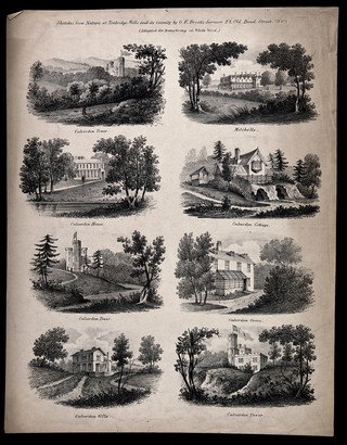 Culverden Estate, Tunbridge Wells, Kent: eight sketches showing the buildings of Culverden. Lithograph after G.E. Brooks.