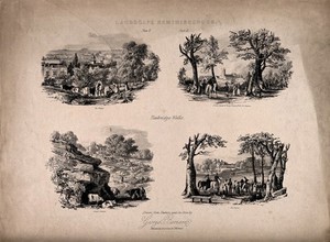 view Tunbridge Wells, Kent: four sketches of the area. Lithograph by G. Bernard after himself.