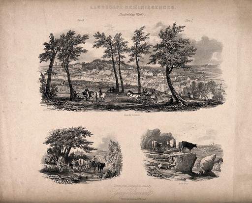 Tunbridge Wells, Kent: three views from the common. Lithograph by G. Barnard.