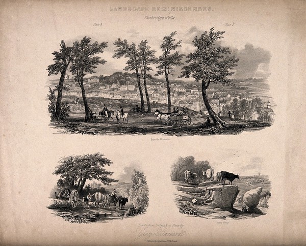 Tunbridge Wells, Kent: three views from the common. Lithograph by G. Barnard.