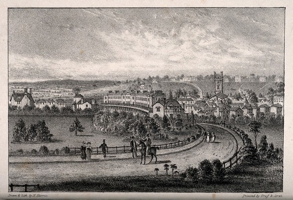 Tunbridge Wells, Kent: panoramic view from Calverley Reservoir. Lithograph by H. Harris.