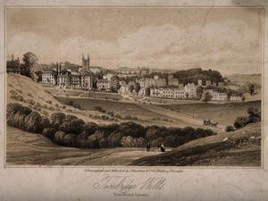 view Tunbridge Wells, Kent: panoramic view from Mount Emphraim. Tinted lithograph.