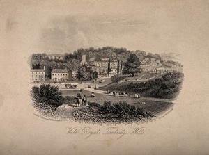 view Tunbridge Wells, Kent: panoramic view from Vale Royal. Etching, 1855.