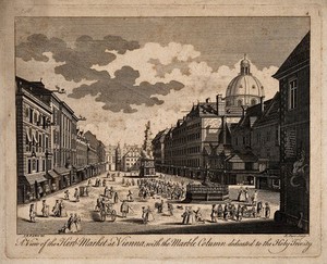 view Herb-market and Holy Trinity Column, Vienna, Austria: panoramic view. Engraving by R. Parr after J.E.F. van Ert.