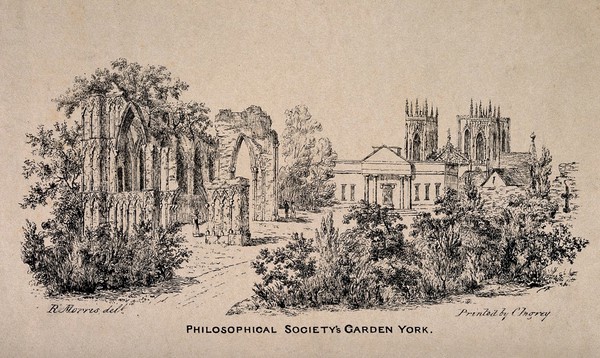 Philosophical Society's Garden, York: panoramic view. Transfer lithograph by R. Morris.