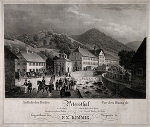 view Bad Peterstal, Black Forest, Germany. Lithograph.