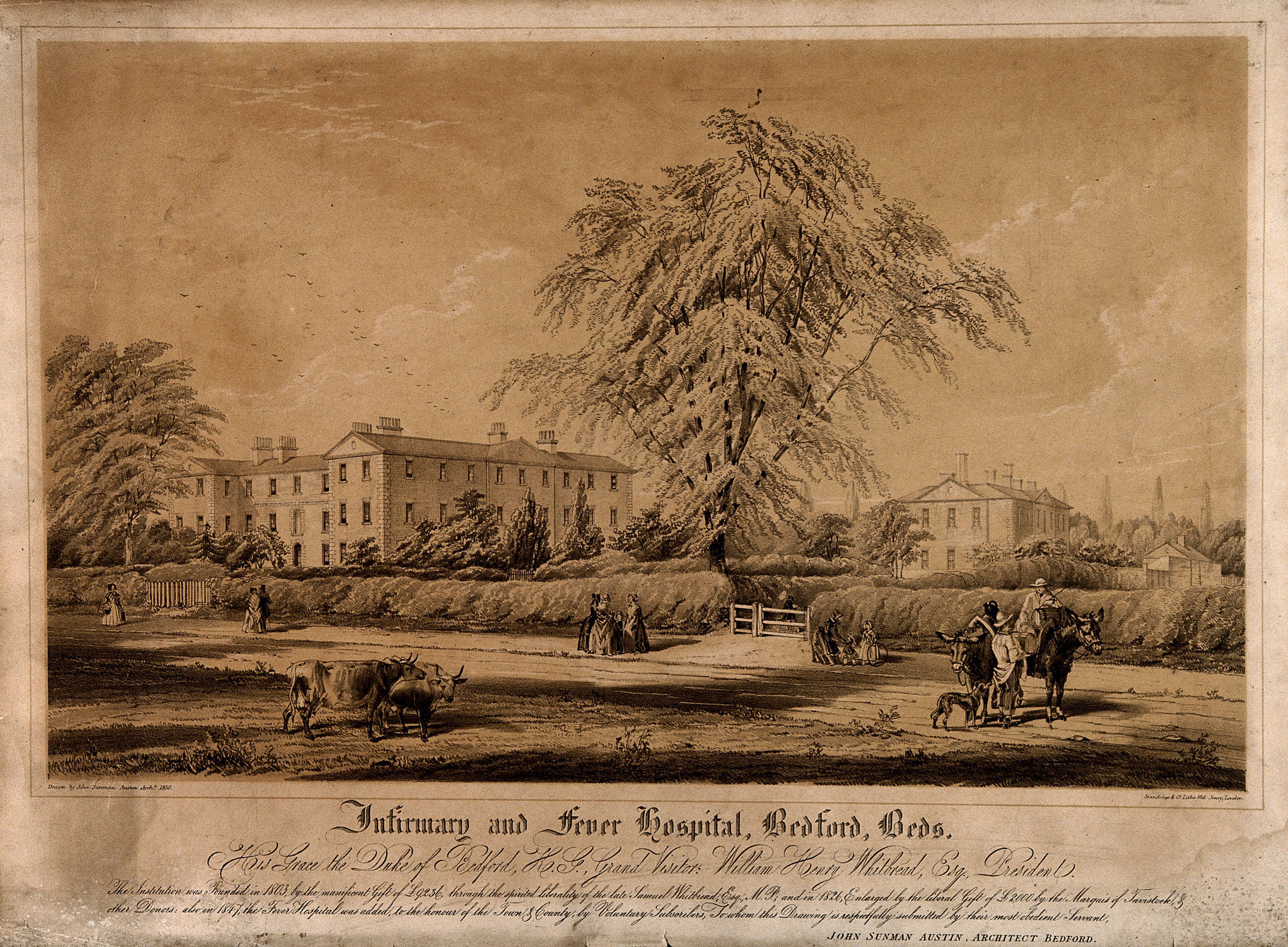 Bedford hospital: view of grounds. Lithograph after J. Sunman Austin, 1850.