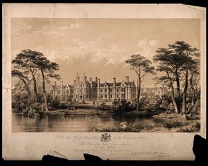 view Infant Orphan Asylum, Snaresbrook, Essex: perspective view. Coloured lithograph by G. Hawkins after G.G. Scott and W.B. Moffat.