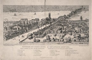 view Southwark and London Bridge: a panorama with key. Etching by N. Whittock after A. van den Wyngaerde, c. 1546.