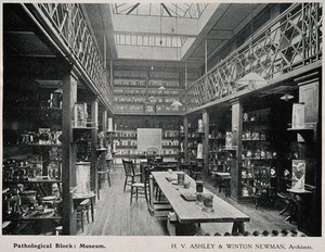 view Royal Free Hospital, London: the interior of the museum in the pathological block. Process print, 1913.