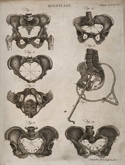 Seven diagrams of differently shaped pelvises and their measurements. Engraving by A. Bell.