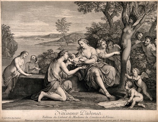 Myrrha (half woman half tree) giving birth to Adonis assisted by Lucina and other nymphs who are also surrounded by cherubs and satyrs. Engraving by L. Desplaces after C. Cignani.