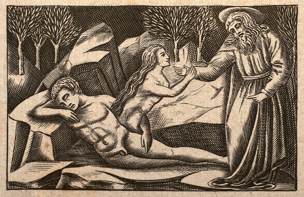 God creating Eve out of Adam. Line engraving.