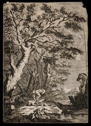 view The good Samaritan pouring oils on a wounded half-dead man. Line engraving by P. Casteels after S. Rosa.