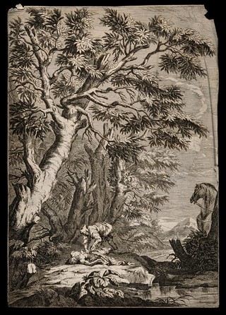 The good Samaritan pouring oils on a wounded half-dead man. Line engraving by P. Casteels after S. Rosa.