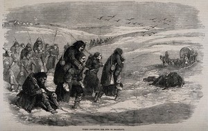 view Crimean War: Turkish ambulancemen conveying the sick to Balaclava. Wood engraving.