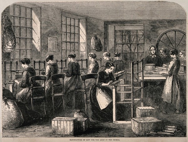 Crimean War, England: women manufacturing lint for the army. Wood engraving by W. Sheeres, 1855.