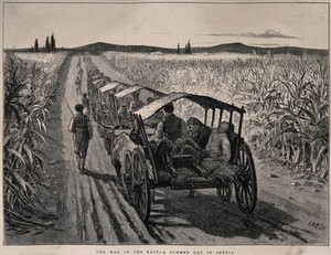 view Serbo-Bulgarian War: an escorted convoy of ambulances carrying the sick and wounded. Wood engraving by J. Nash.