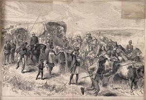 view Boer War: sick and wounded soldiers returning down country. Wood engraving.