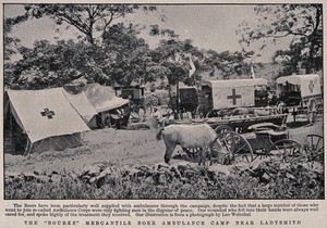 view Boer War: the "Bourke" Mercantile Boer ambulance camp. Reproduction after a photograph by L. Weinthal.